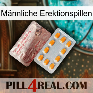 Männliche Erektionspillen new13